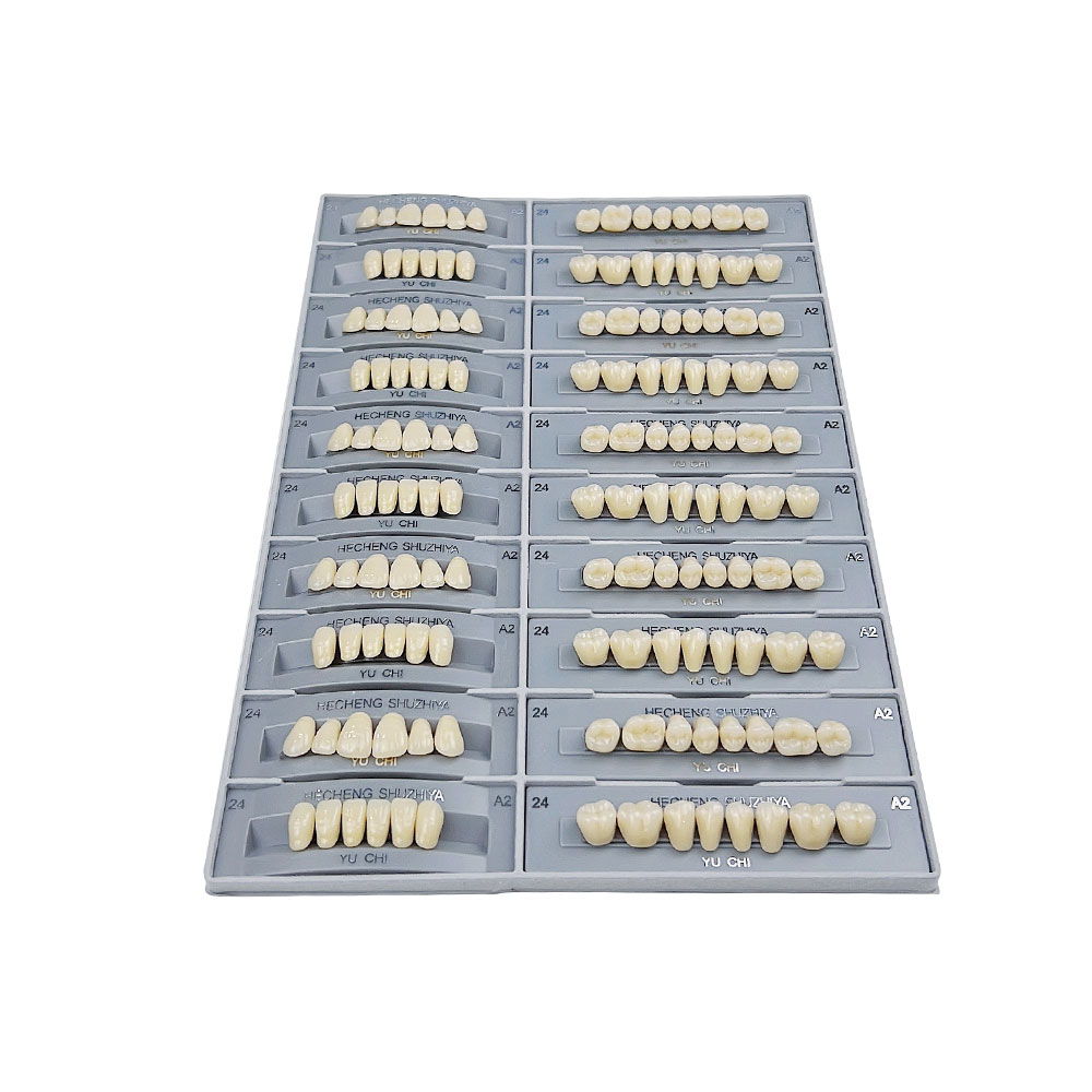 140 stuks/doos, tandheelkundig - Resin Art Case recensie en prijs